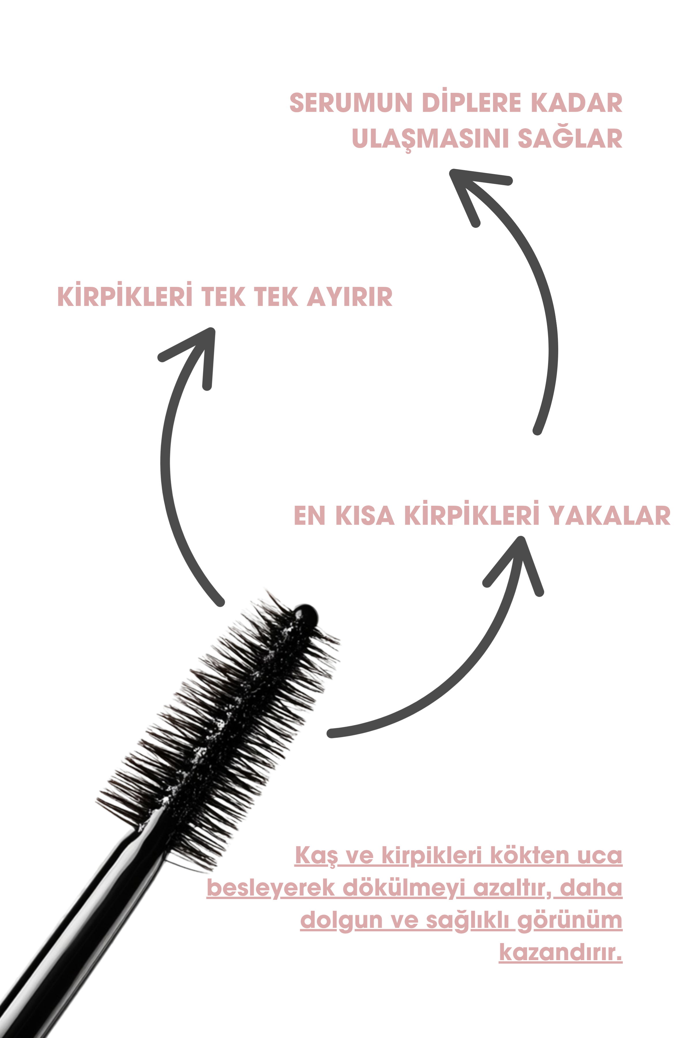 Kaş & Kirpik Bakım Serumu, Kaş Ve Kirpik Güçlendirici 18ml (Jojoba Yağı 30% + Tatlı Badem Yağı 40%)